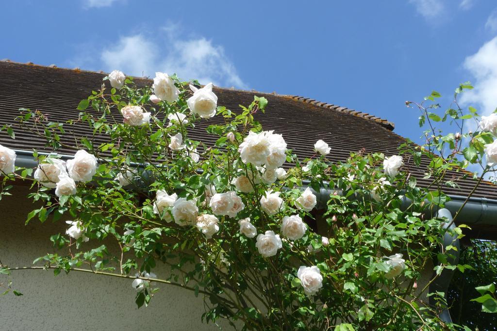 Maison D'Hotes Les Coquelicots ジヴェルニー 部屋 写真
