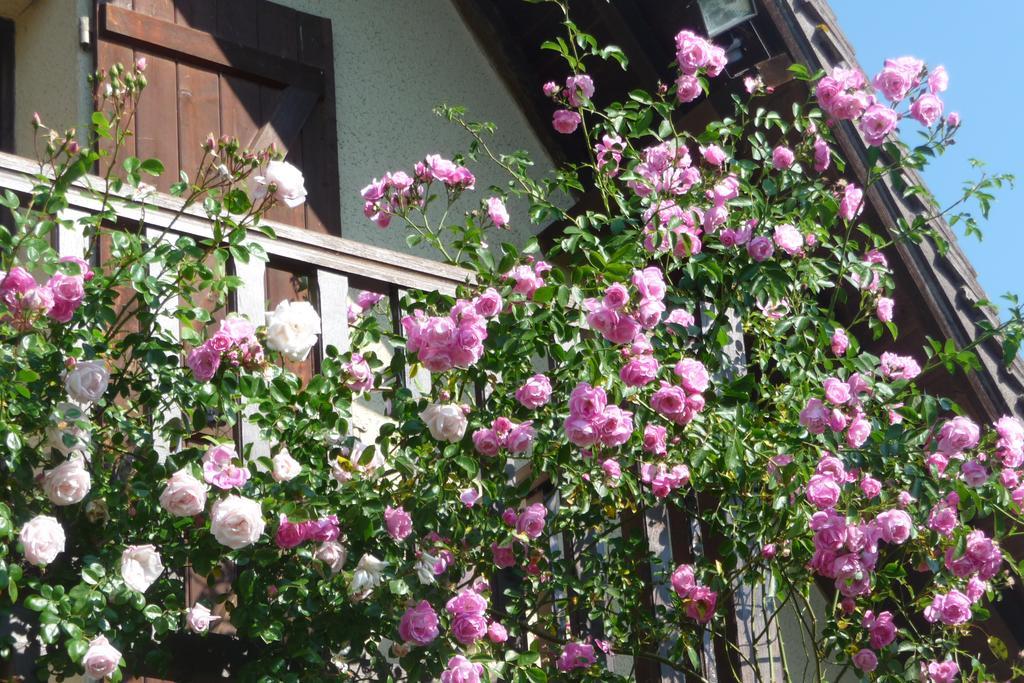 Maison D'Hotes Les Coquelicots ジヴェルニー 部屋 写真
