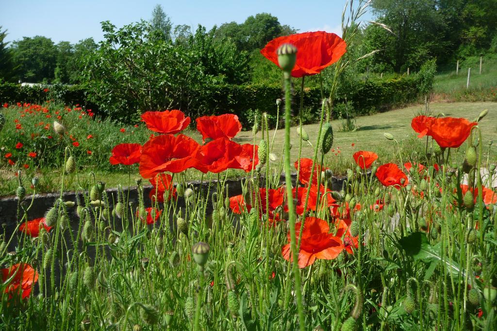 Maison D'Hotes Les Coquelicots ジヴェルニー エクステリア 写真