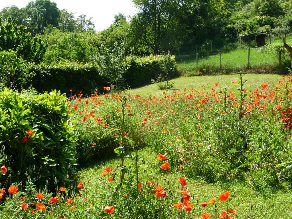Maison D'Hotes Les Coquelicots ジヴェルニー エクステリア 写真
